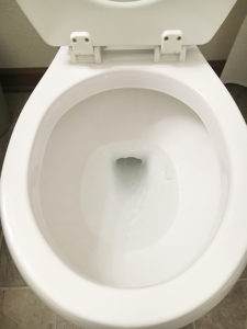 clean toilet bowl